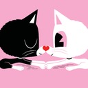 lovecats_web